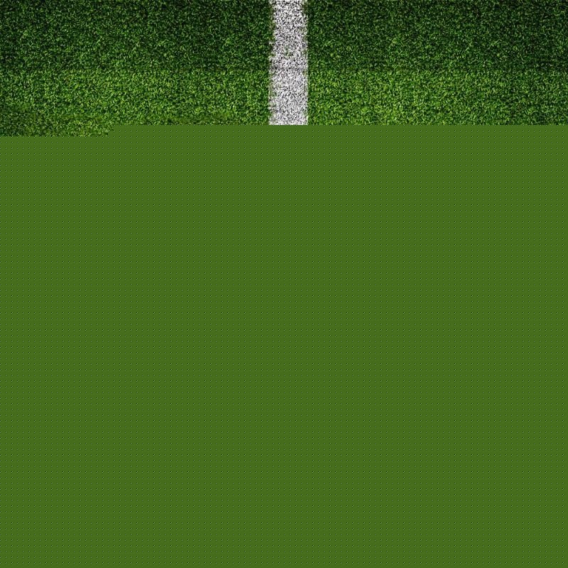 因素