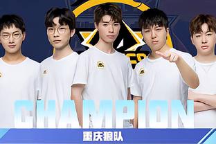 这一猜测有